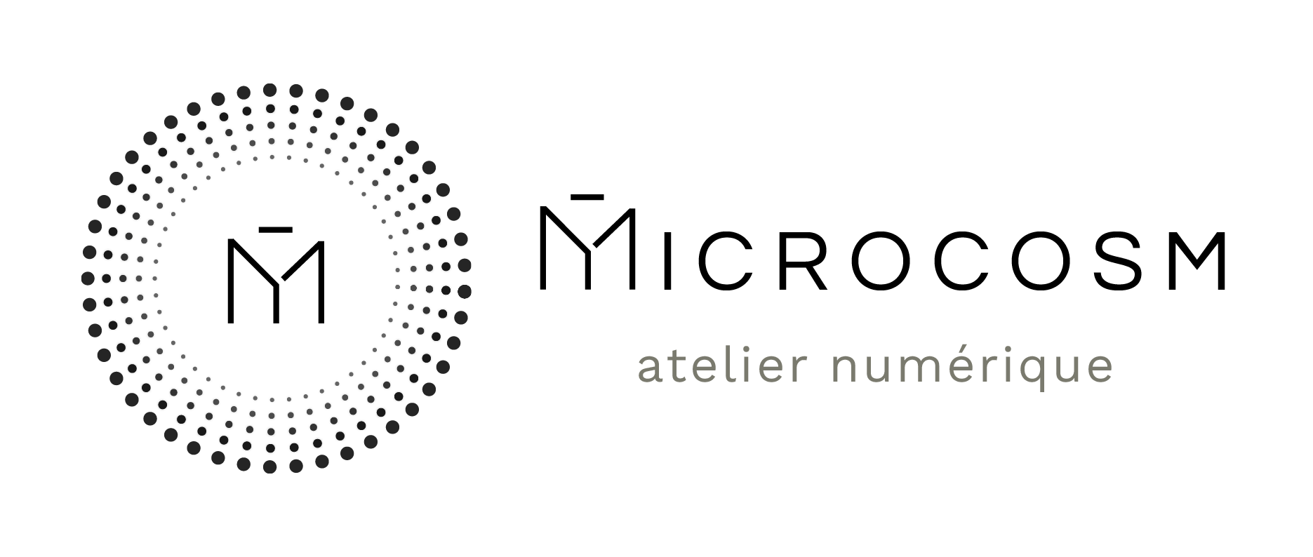 Microcosm atelier numérique